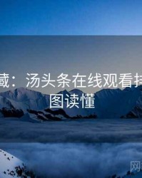 粉丝必藏：汤头条在线观看排行榜一图读懂