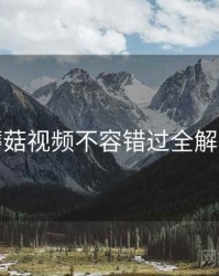 蘑菇视频不容错过全解析