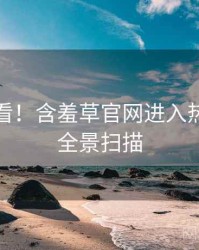 冲浪必看！含羞草官网进入热点合集全景扫描