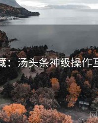 粉丝必藏：汤头条神级操作互动问答