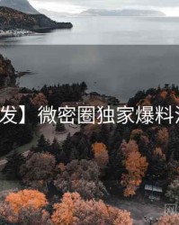【首发】微密圈独家爆料沉浸版