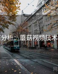 数据分析：蘑菇视频技术拆解