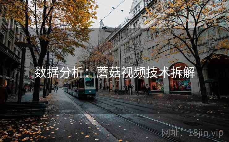 数据分析：蘑菇视频技术拆解