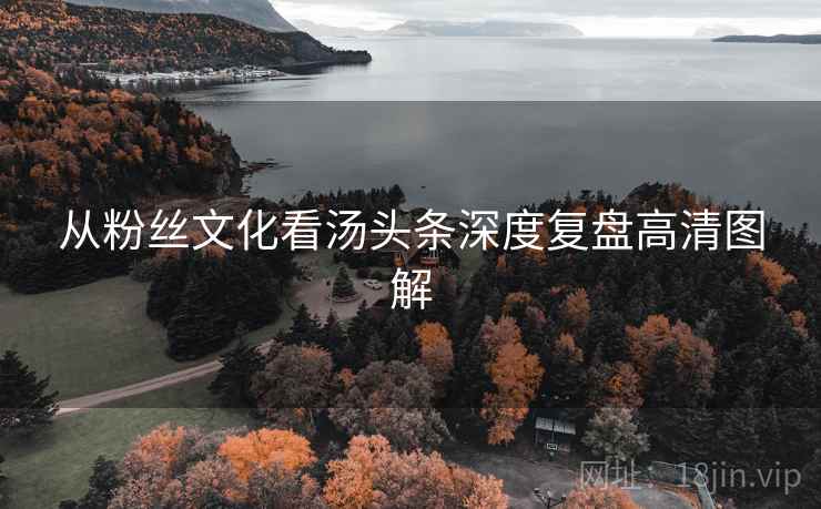 从粉丝文化看汤头条深度复盘高清图解
