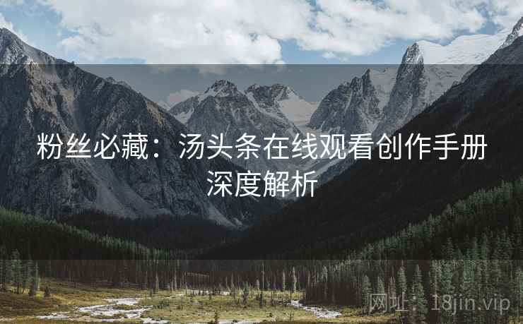 粉丝必藏：汤头条在线观看创作手册深度解析