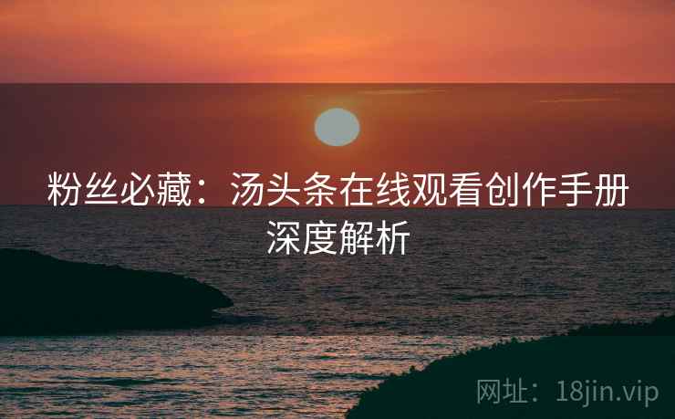 粉丝必藏：汤头条在线观看创作手册深度解析
